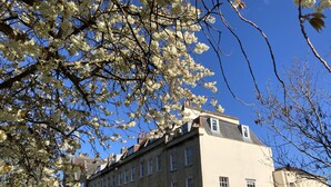 A building with multiple windows and balconies, surrounded by trees with white blossoms. - Stylish Studio Apartment in Clifton Village (Bristol)