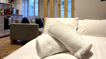 Classic Studio, Private Bathroom | 1 bilik tidur