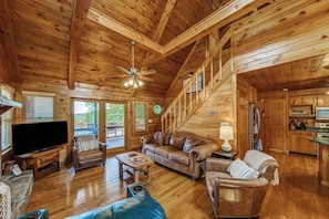 Smart TV, fireplace, video games, DVD player