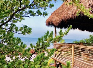 Property grounds - TULUM Beachfront 20min from hotel zone <br>Housekeeping - amazing food (Tulum)