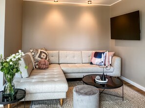 Smart TV, fireplace, books, video library