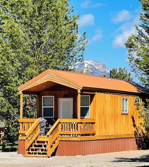 Exterior - Knotty Bear tiny home 20 miles to West Yellowstone (Island Park)