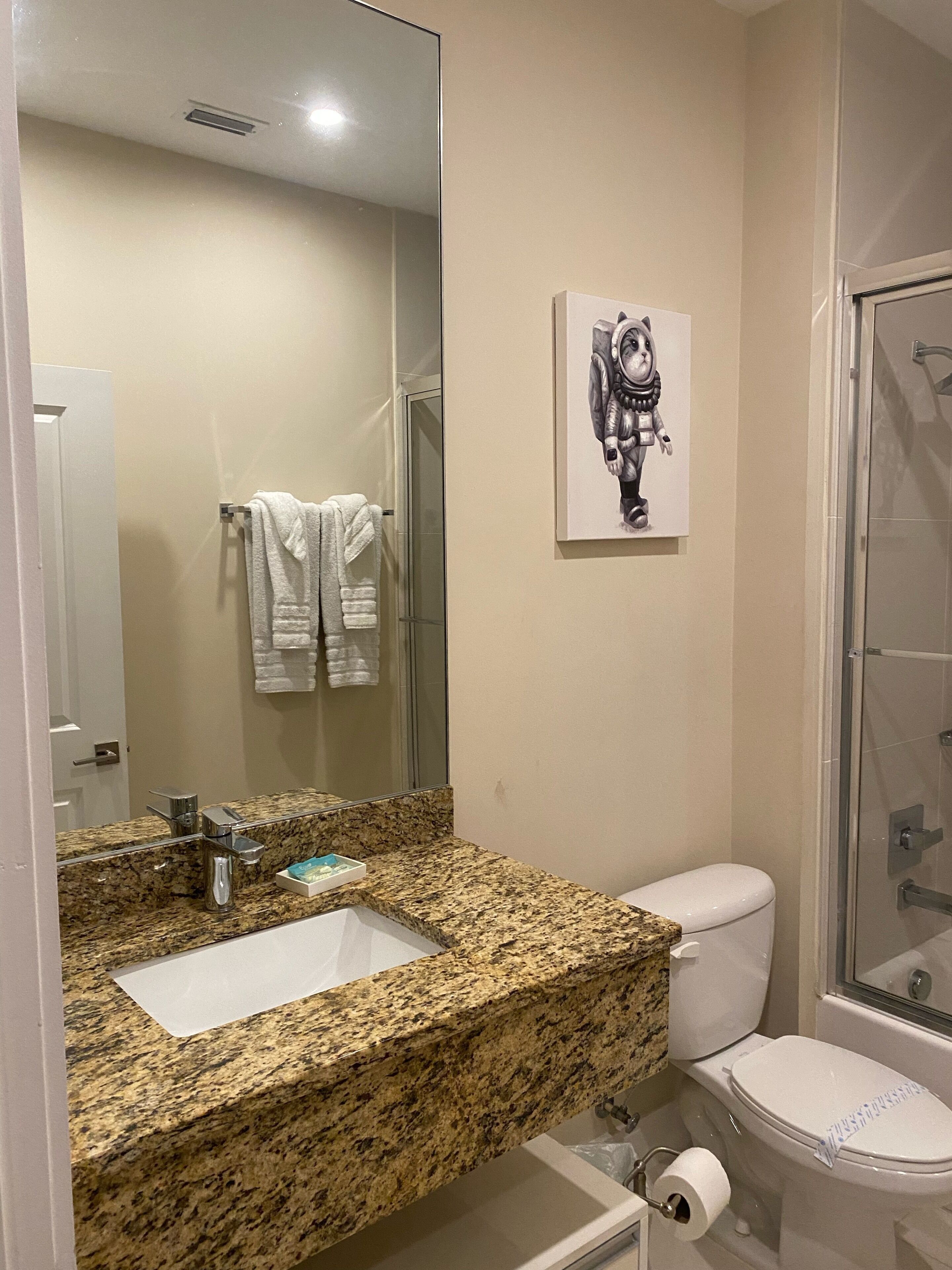 Combined shower/bathtub, hair dryer, towels, soap
