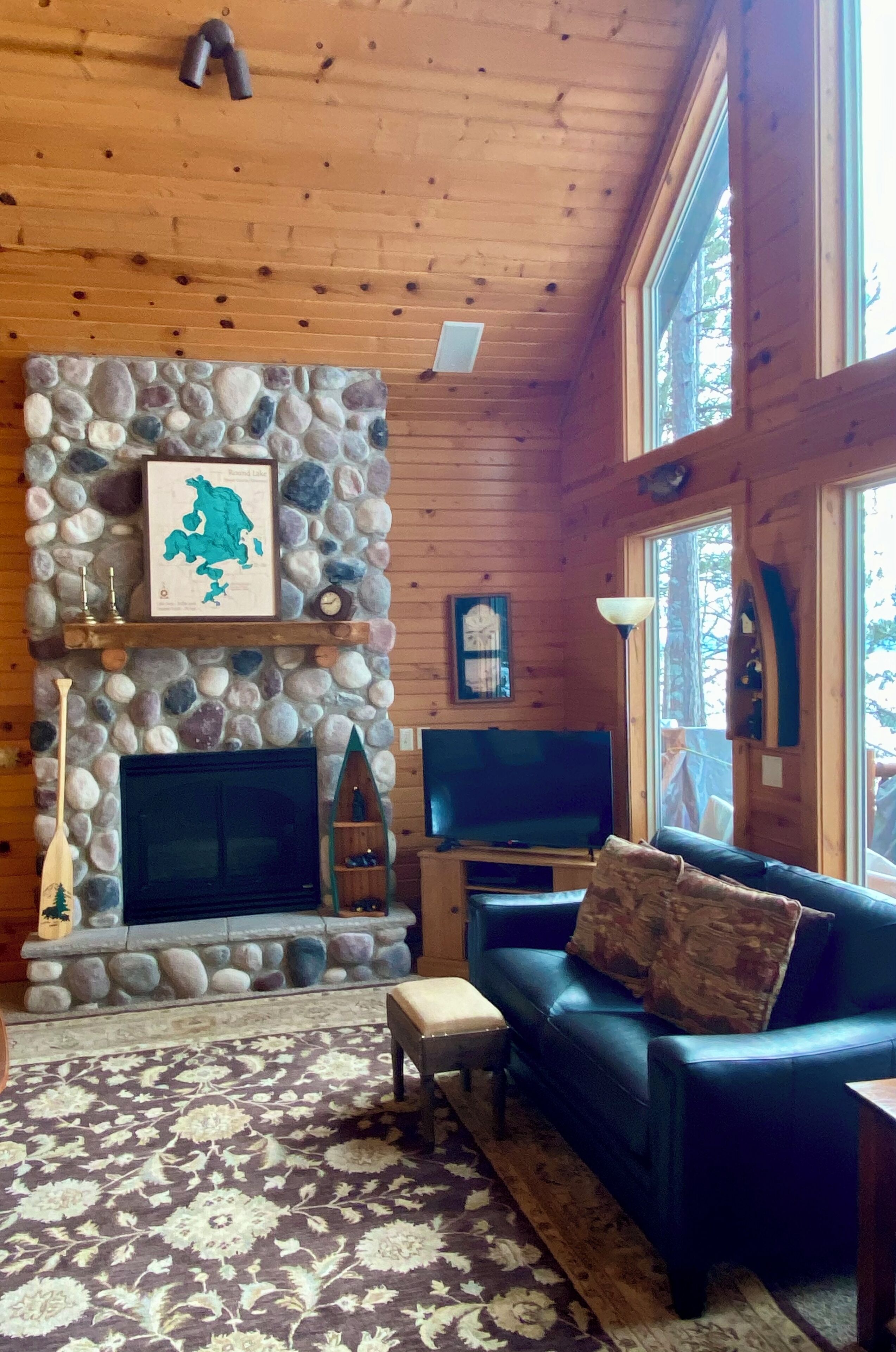 Smart TV, fireplace, DVD player, books