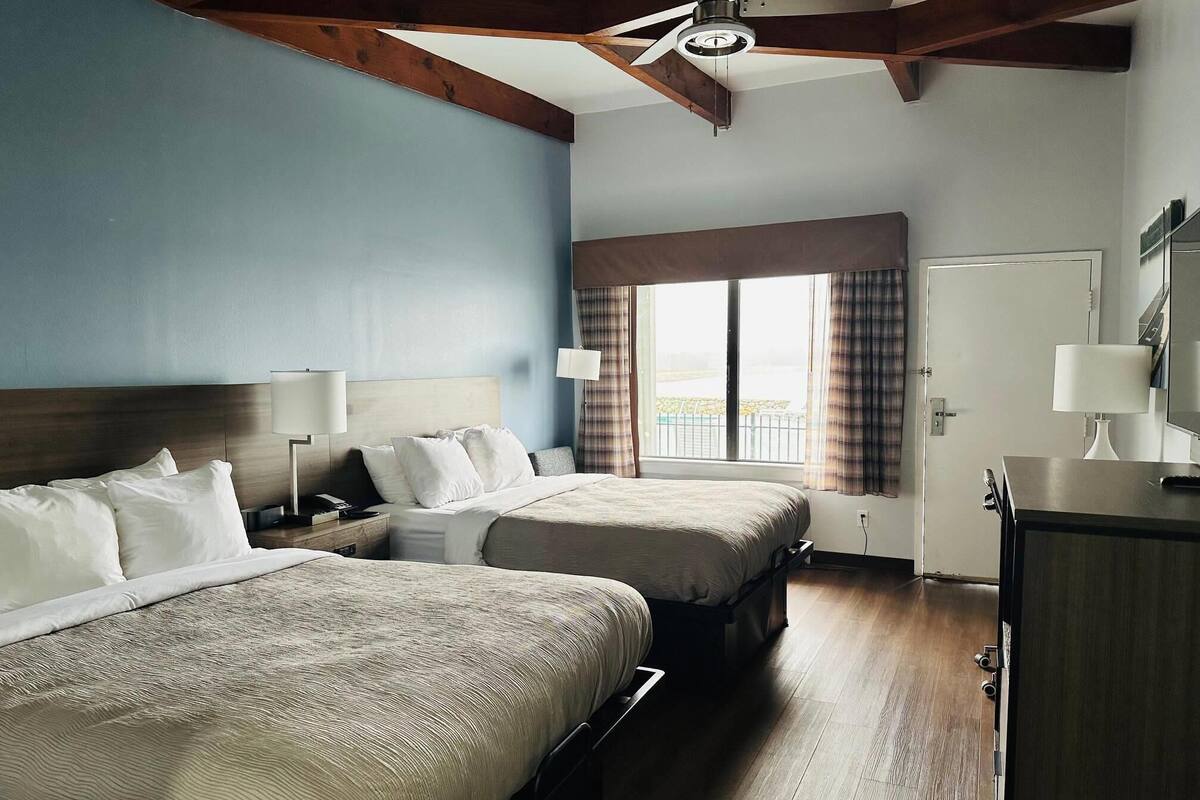 Down duvets, blackout curtains, iron/ironing board, free WiFi