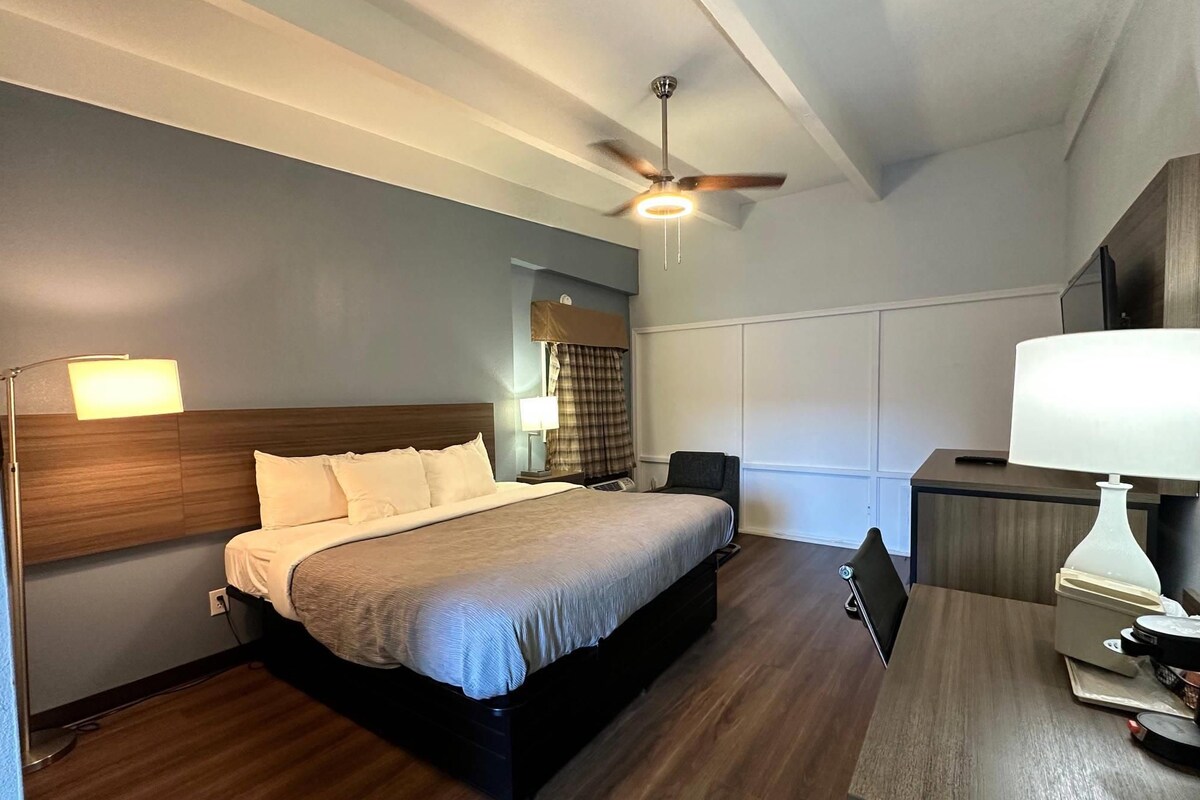 A hotel room with a bed, bedside table, lamp, ceiling fan, and a desk with a chair.