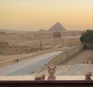 Vue depuis l’hébergement