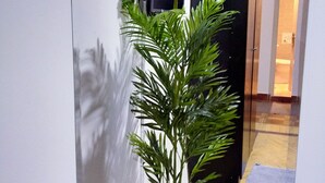 A modern interior with a potted plant on a shelf, a black cabinet, and a doorway leading to another room. - Double Room with Balcony Pyramids View (الهرم)