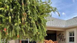 A residential building with a landscaped garden featuring a large tree and a bush. - ESCAPE! to The Villages...Villa with Golf Car! (The Villages)
