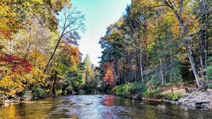 A river flowing through a forest with trees displaying autumn colors. - River Mornings, Hot tub Evenings, Repeat (Suches)