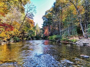 Une rivière qui traverse une forêt où les arbres arborent les couleurs de l’automne.