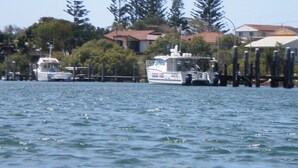 Un port de plaisance où sont amarrés des bateaux, entouré d’arbres et d’immeubles d’habitation.