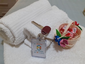 Shower, hair dryer, bidet, towels