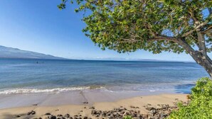 Una spiaggia con acque cristalline blu, un albero e una costa rocciosa.