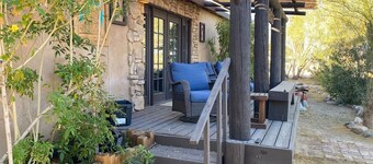 Patch of grass Ocotillo