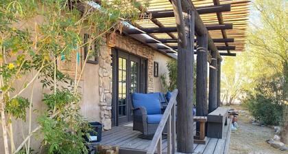 Patch of grass Ocotillo