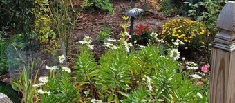 戴維斯廣場旅館