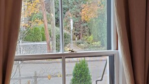 A bedroom with a wooden bed frame, a window with curtains, and a view of trees and buildings outside. - Davis Square Inn (Somerville)