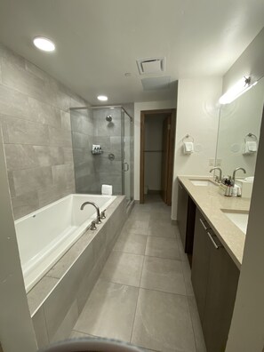 Bathtub, hair dryer, towels, soap