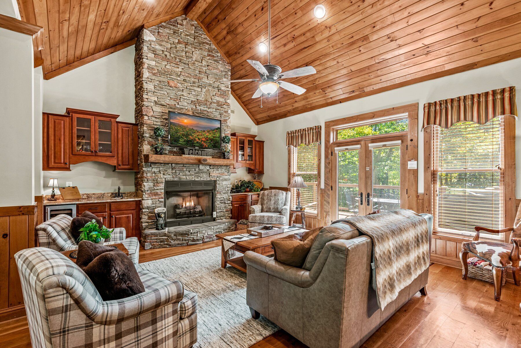 TV, fireplace, video games, DVD player