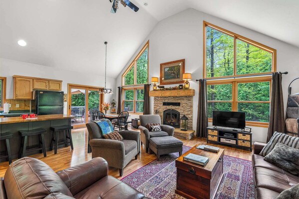 Smart TV, fireplace, DVD player, books