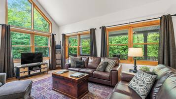 Smart TV, fireplace, DVD player, books