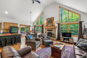 Smart TV, fireplace, DVD player, books