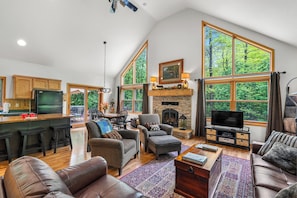 Smart TV, fireplace, DVD player, books