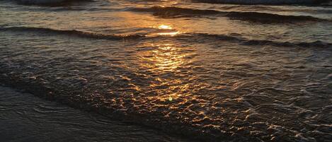 Chaises longues, serviettes de plage