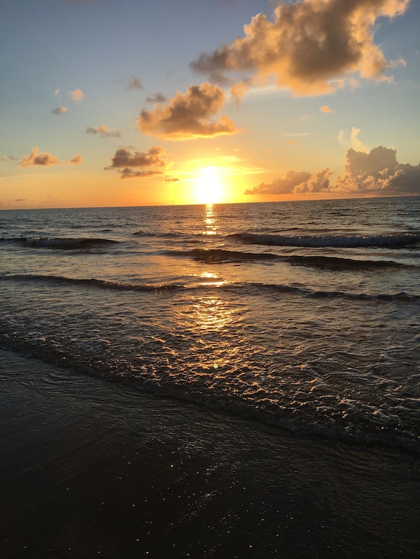 Sun loungers, beach towels - Beach & Downtown with Pool (Delray Beach)