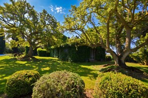Property grounds - Casale Teresa, Tarquinia, Italy (Tarquinia)