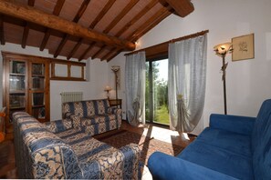 TV, fireplace - Casa Citille, Greve in Chianti, Italy (Greve in Chianti)