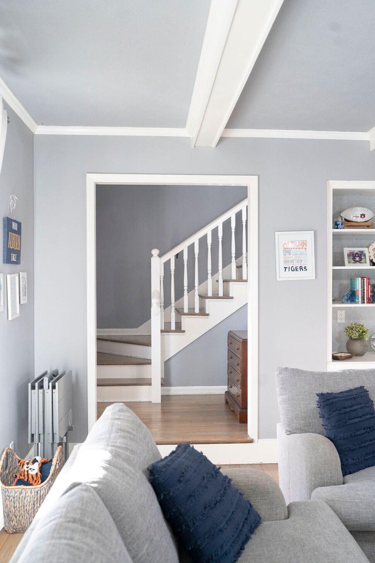 TV connectée, cheminée, livres, espaces bureaux