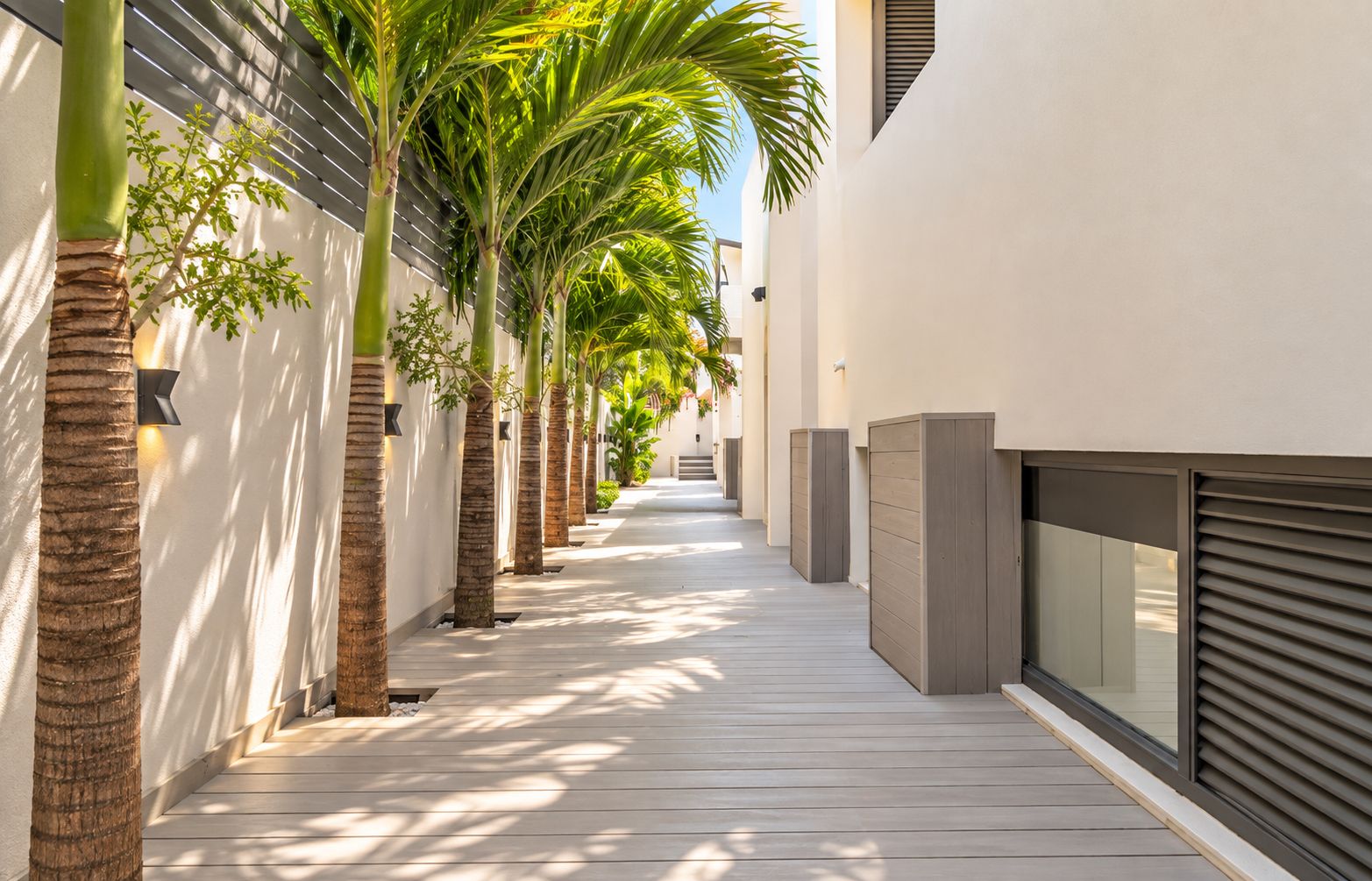Un corridoio fiancheggiato da palme e un pontile in legno, che conduce a un edificio con facciata moderna e ampie finestre.