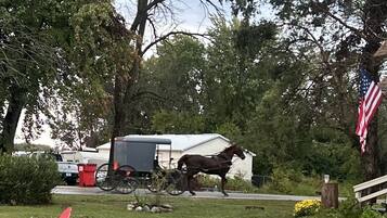 A horse-drawn carriage on a road with a house and trees in the background.