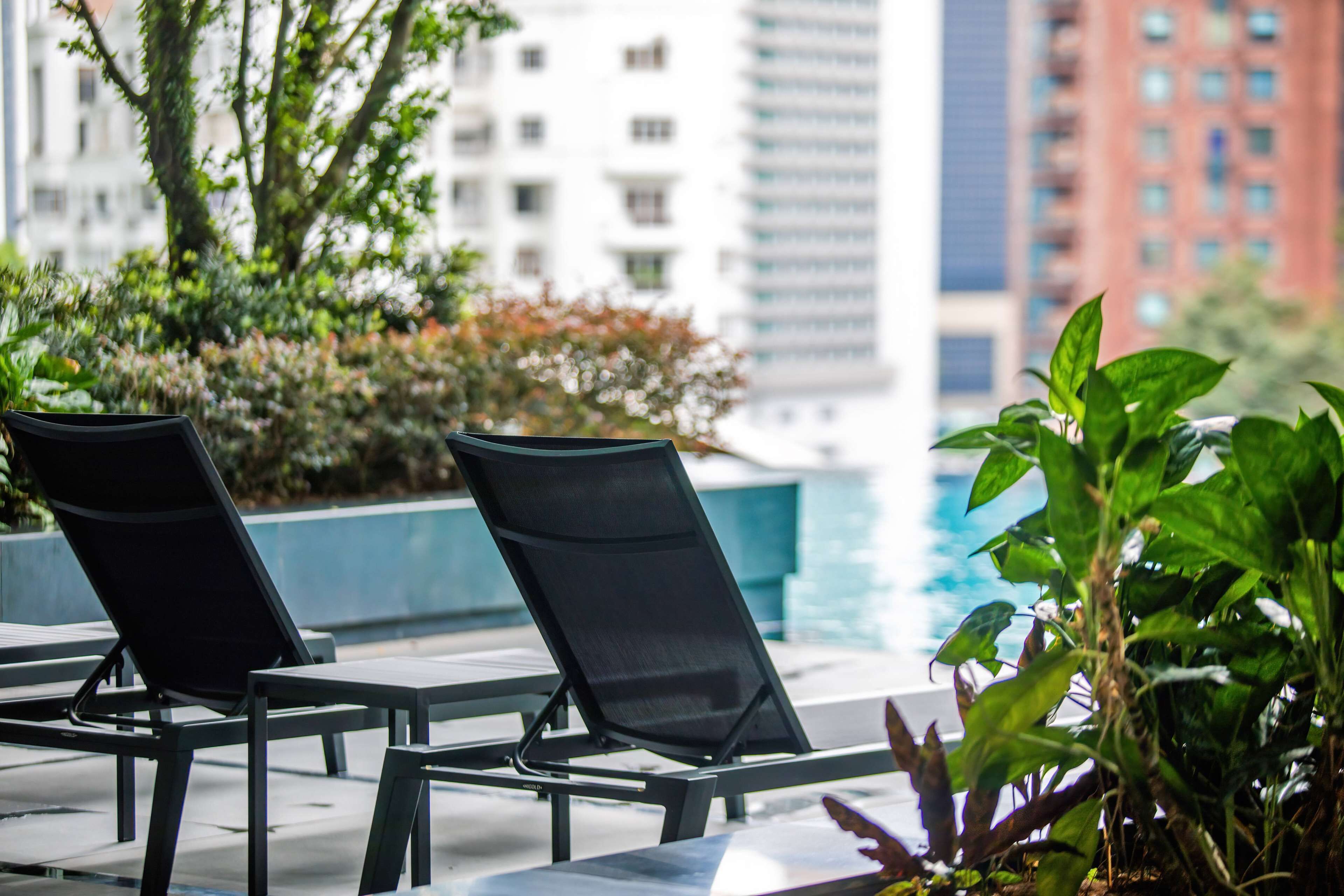 A poolside area with lounge chairs and a view of a cityscape.