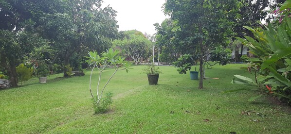 Terrein van de accommodatie