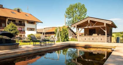 Apartment mountain view - Waldhauserhof