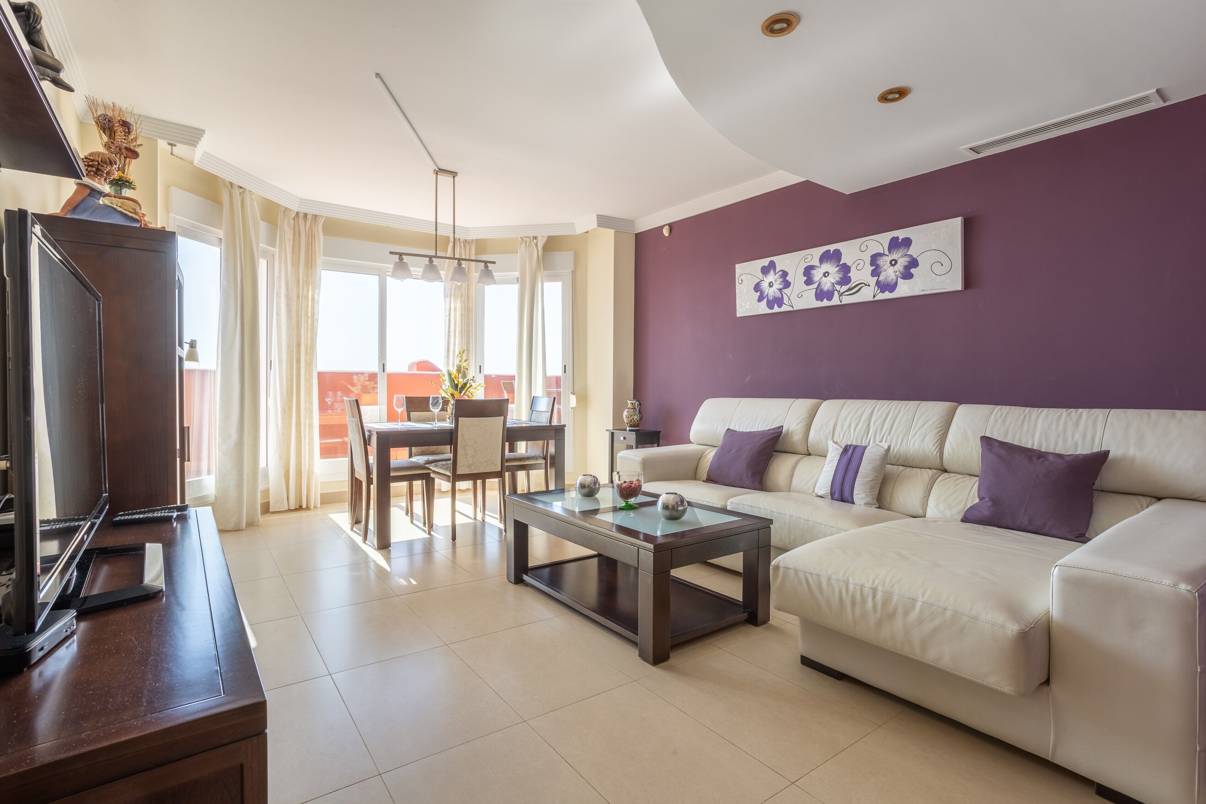 電視、DVD 播放機