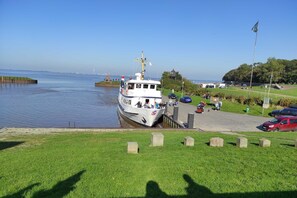 Immagine non classificata, 2 di 23, pulsante