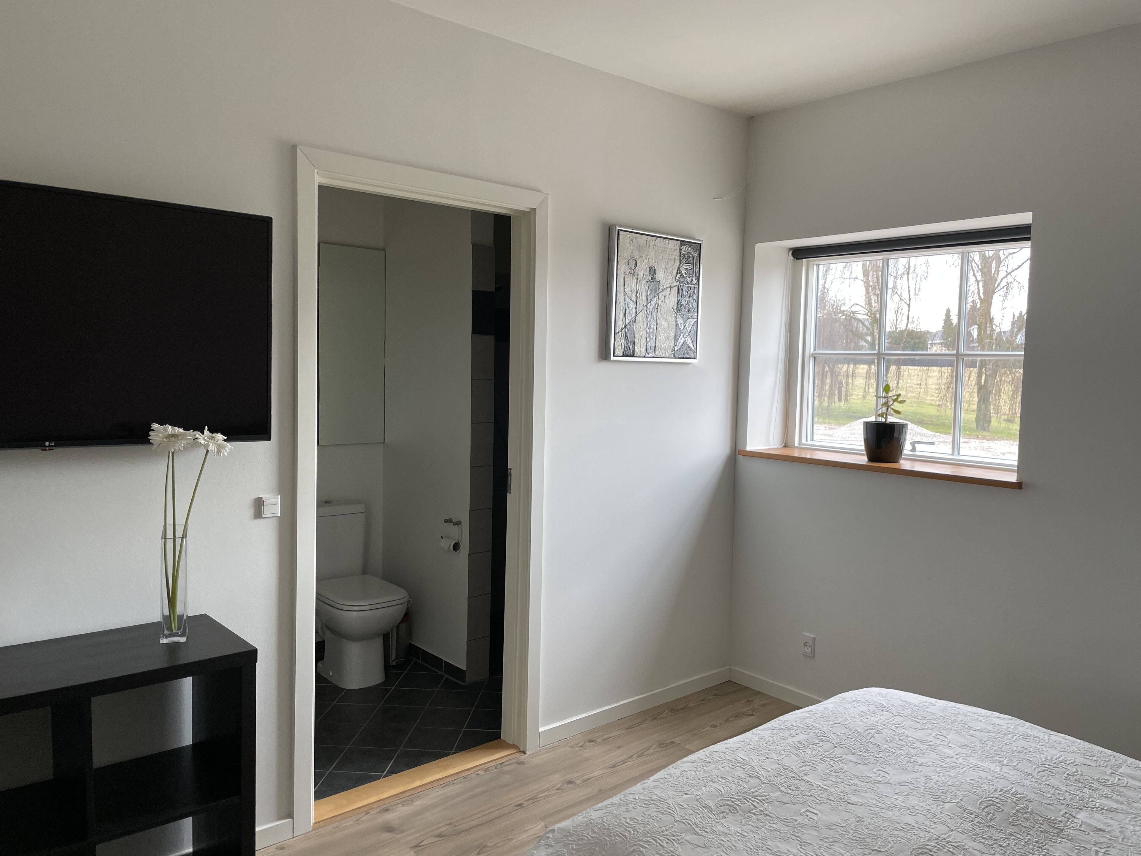 A bedroom with a bed, a TV, a window with a plant, and a bathroom visible through an open door.