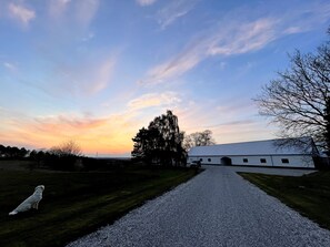 A gravel path leading to a white building with a metal roof, surrounded by trees and a clear sky. - Essenbaekgaard B&B (Randers)