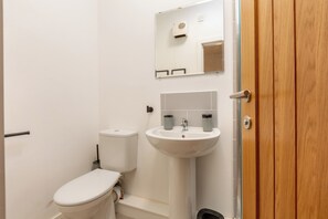 Un bagno piccolo e pulito, con il water, il lavandino e uno specchio.