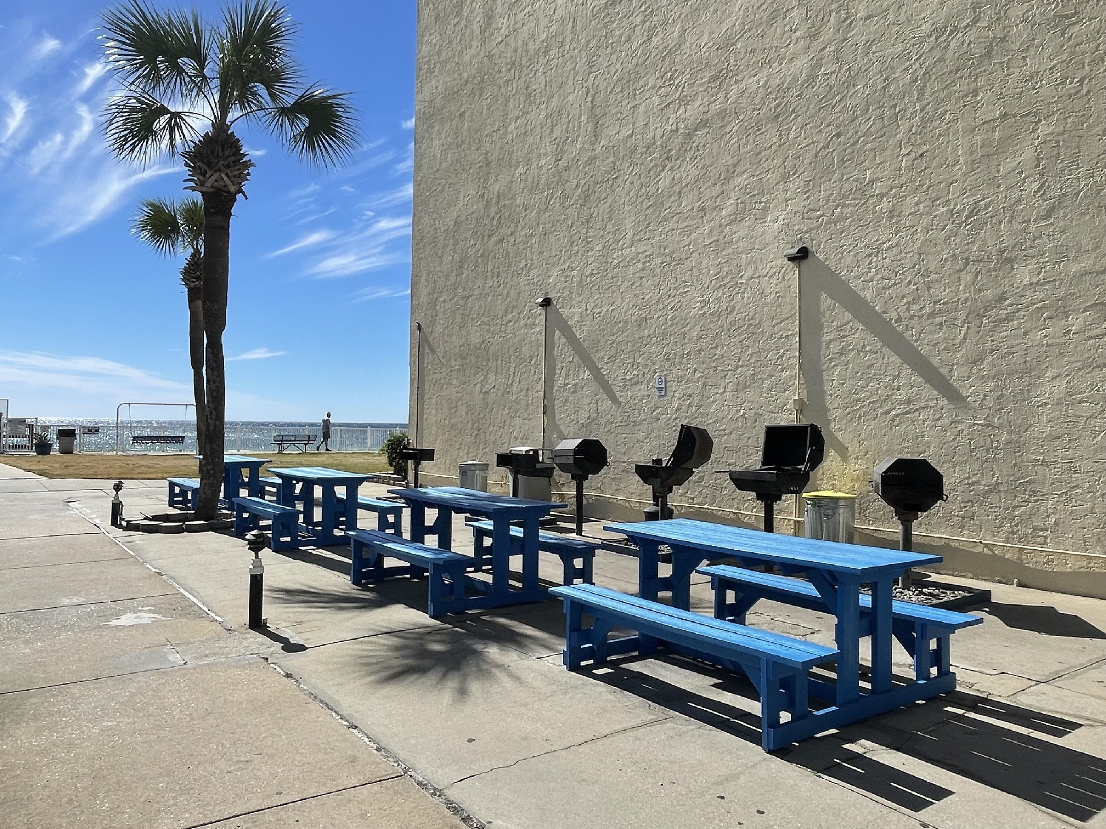 Seients exteriors amb bancs i taules, una palmera i una paret amb relleu.
