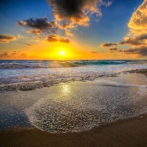 Beach - Professional 2 Bedroom Condo on Singer Island, FL.  FREE parking.  Beach 5 min. (Singer Island)