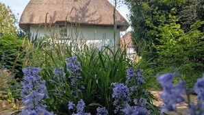 Una casa con techo de paja rodeada de vegetación exuberante y flores moradas.
