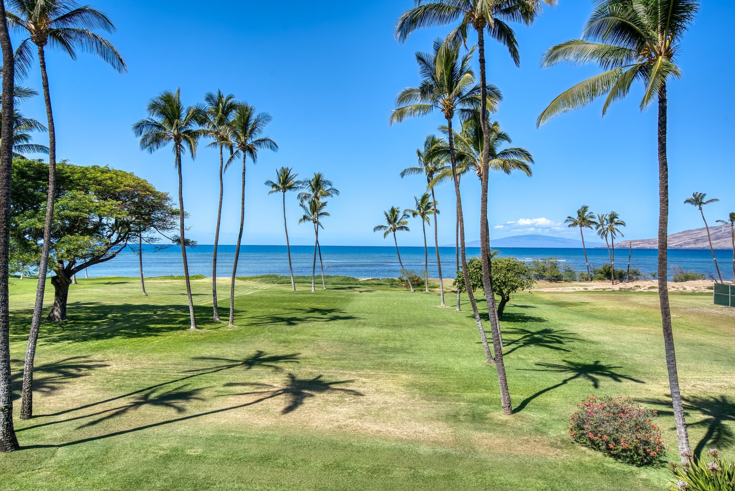 A golf course with palm trees and a view of the ocean.