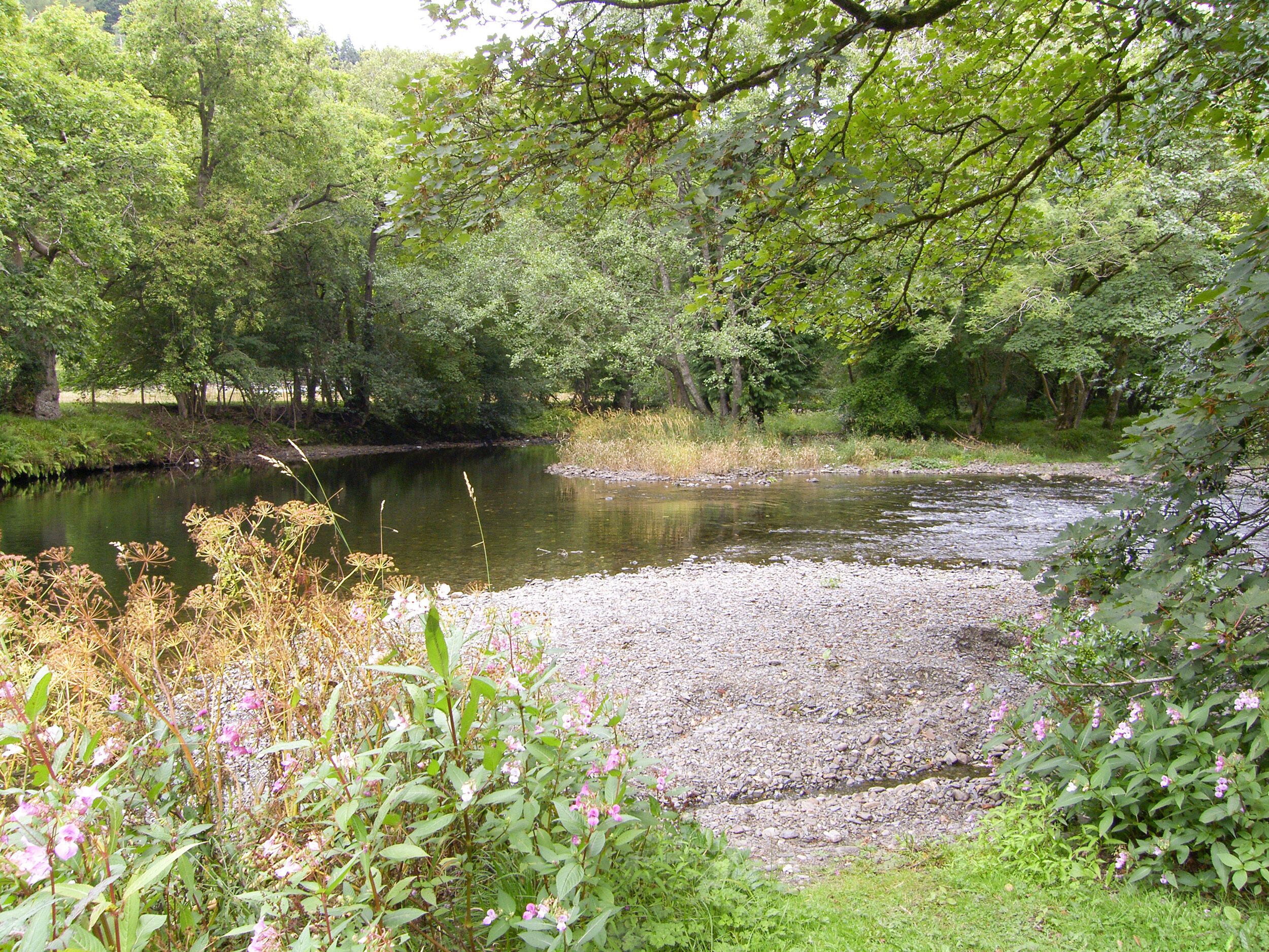Ein Fluss, umgeben von dichtem Grün und Bäumen.