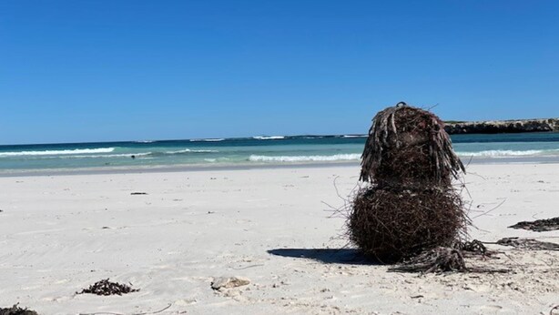 Une plage avec un grand objet cylindrique de couleur sombre au premier plan.