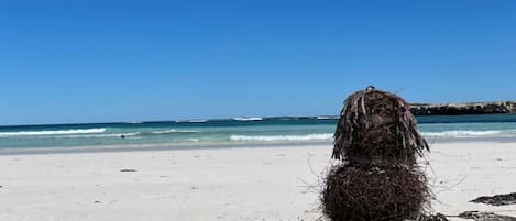 Una spiaggia nelle vicinanze